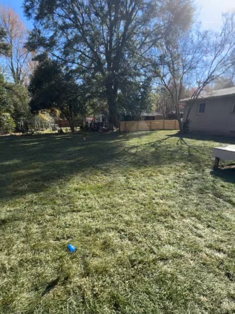 Full green fescue lawn in the same shaded backyard after installation in Simpsonville, SC