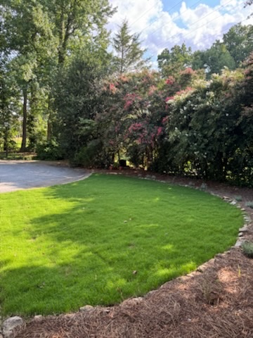 Dense new sod lawn along the same stone border after installation in Greenville, SC