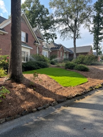 Uniform green sod lawn beside the front walkway after installation in Greenville, SC