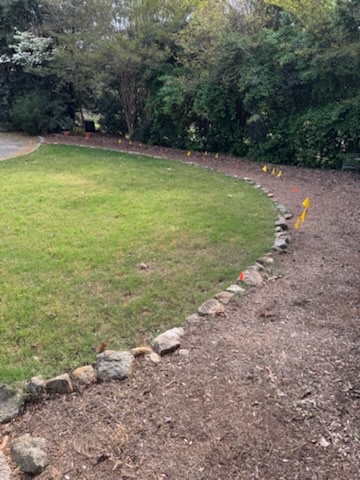 Moss-covered thin lawn along a stone border before sod replacement in Greenville, SC