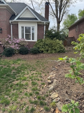 Bare compacted side yard with moss before lawn replacement in Greenville, SC